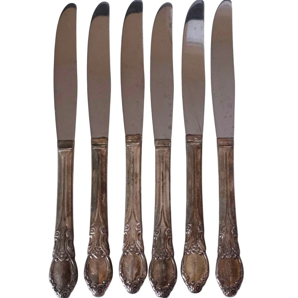 Vintage Oneida Wm A Rogers Valley Rose Silverplate Flatware Set 20 Pcs 1956